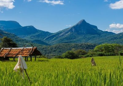 Knuckles Heeloya Village Immersion Trek.