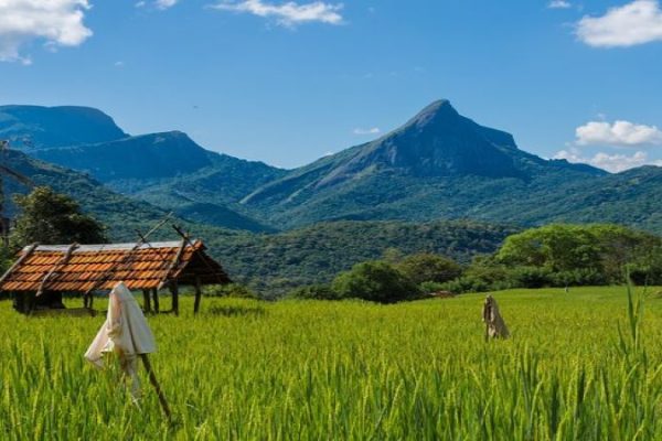 Knuckles Heeloya Village Immersion Trek.