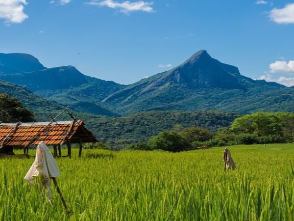 Knuckles Heeloya Village Immersion Trek.