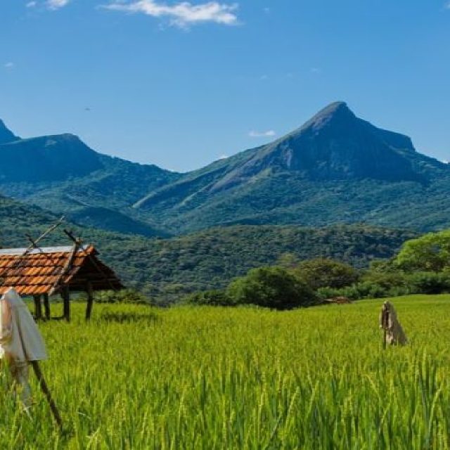 Knuckles Heeloya Village Immersion Trek.