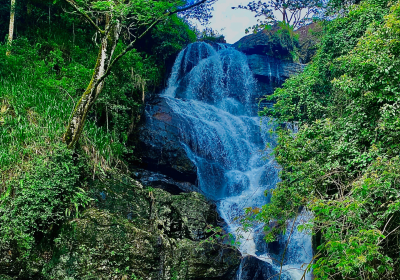 Knuckles 7 Falls Hiking Day Tour