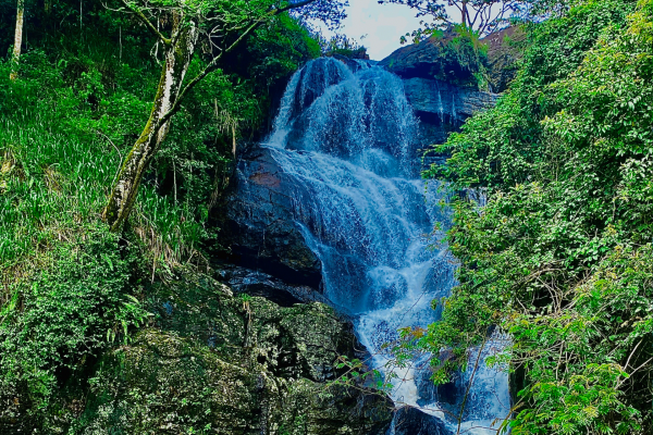 Knuckles 7 Falls Hiking Day Tour