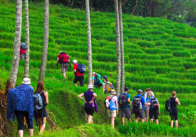 Knuckles Village Trekking- One Night & Two Days