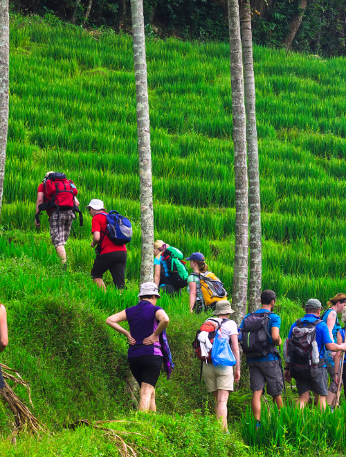 Knuckles Village Trekking- One Night & Two Days