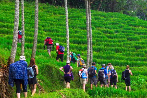 Knuckles Village Trekking- One Night & Two Days