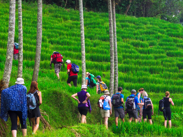 Knuckles Village Trekking- One Night & Two Days