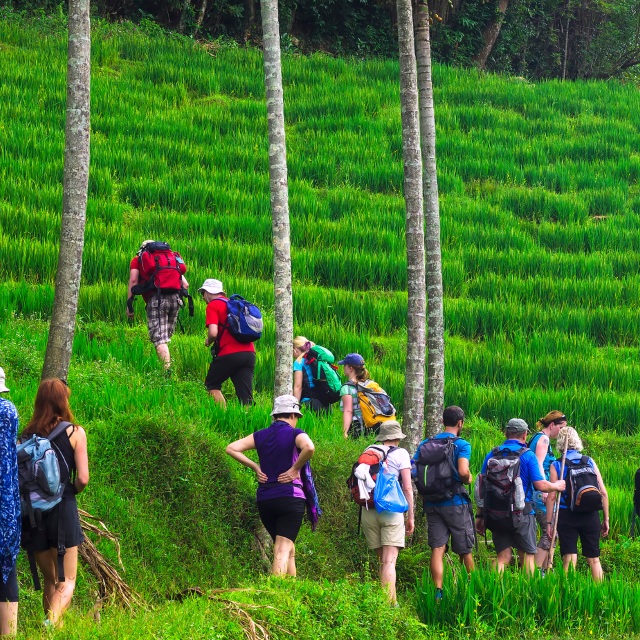 Knuckles Village Trekking- One Night & Two Days