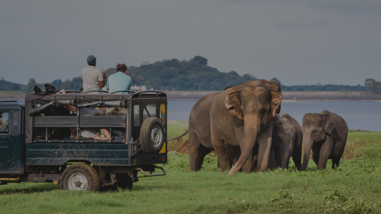 Wild & Adventure Tours